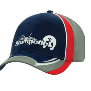 HE405 Cap